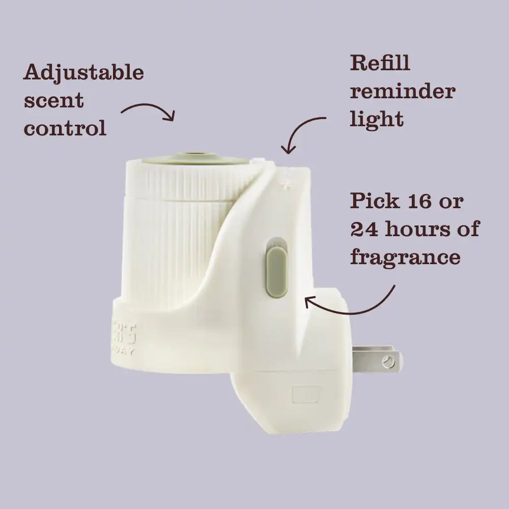Dandelion Plug In Scented Oil Refill, 2-Pack