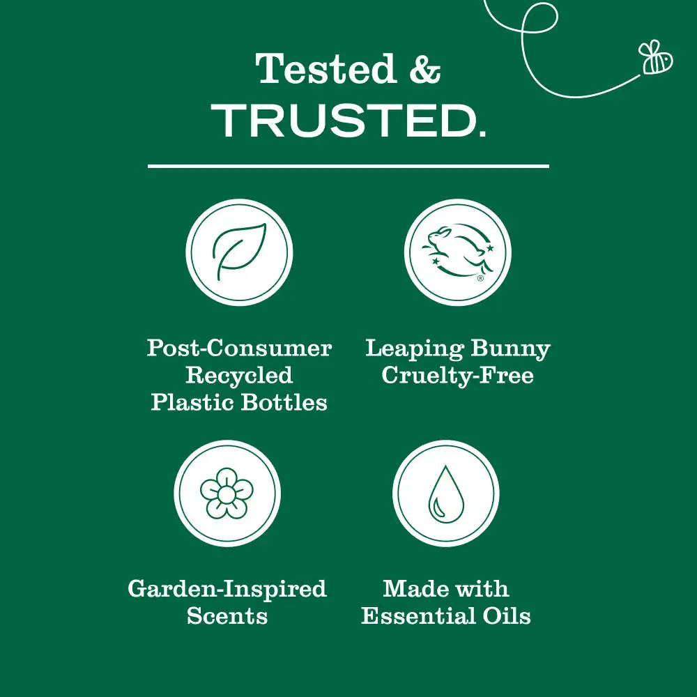Sugar Pumpkin Dish Soap