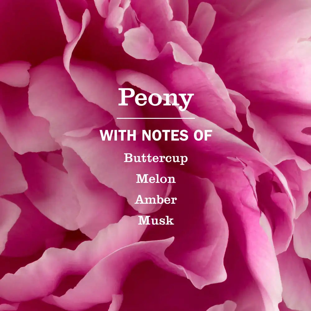 Peony Soy Candle Large