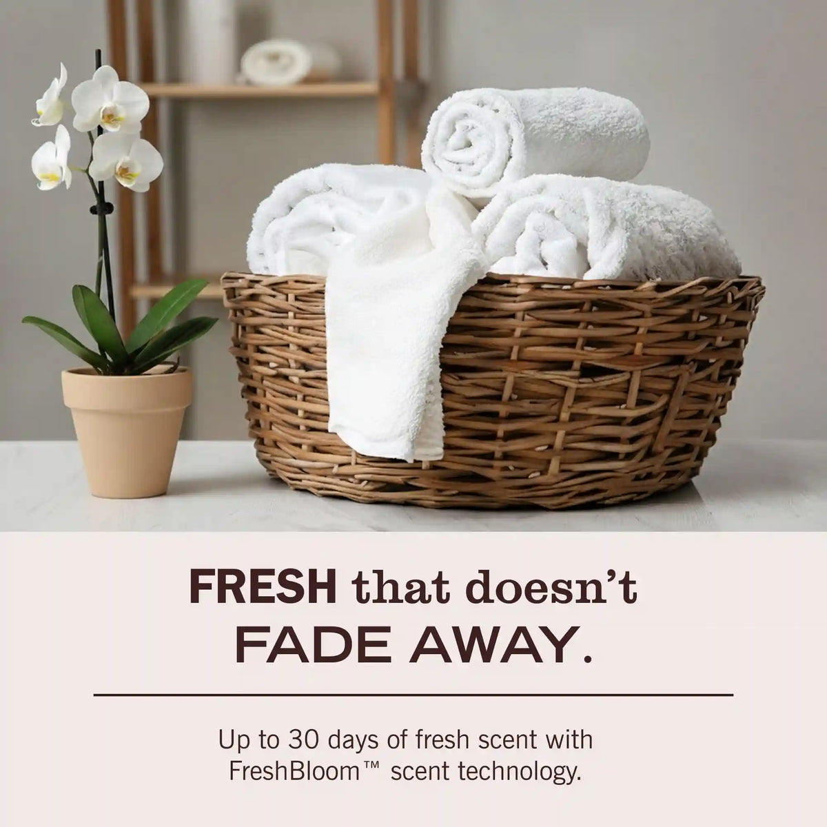 Baby Blossom Laundry Detergent