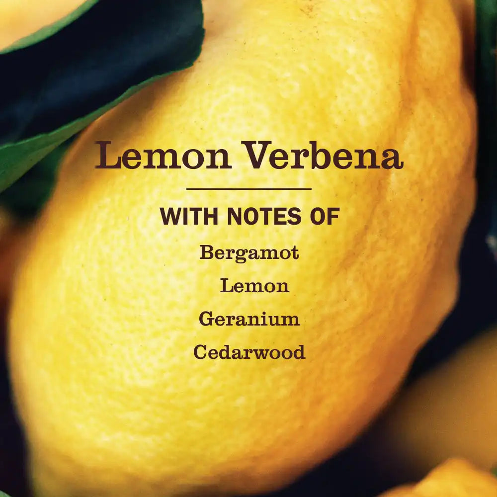 Lemon Verbena Toilet Bowl Cleaner