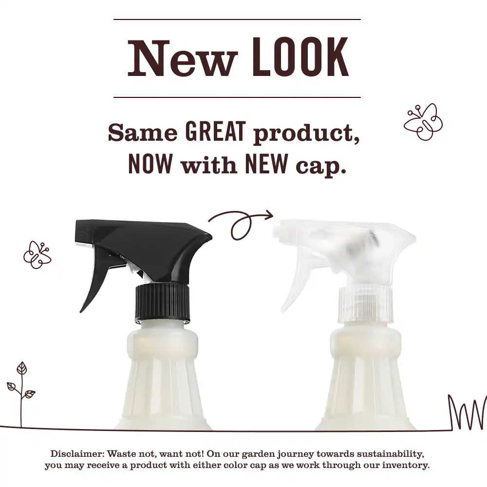 Peony Multi-Surface Everyday Cleaner