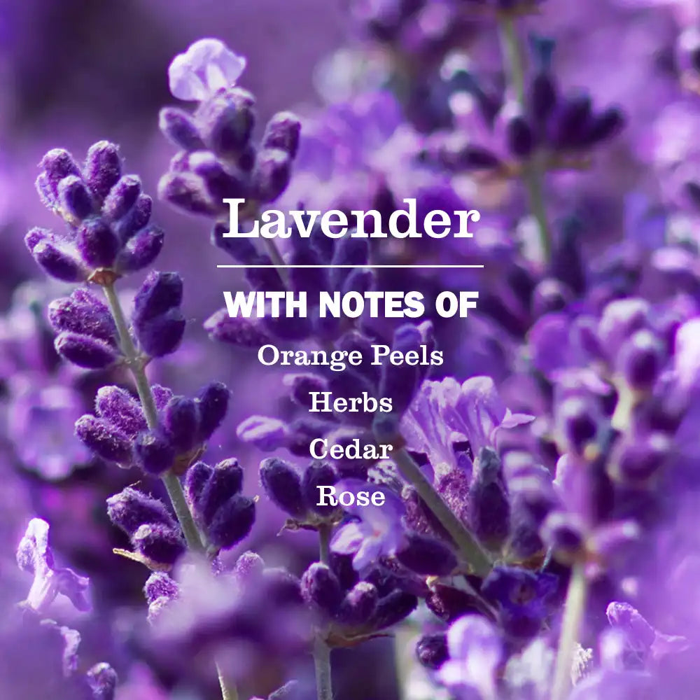 Lavender Hand Sanitizer