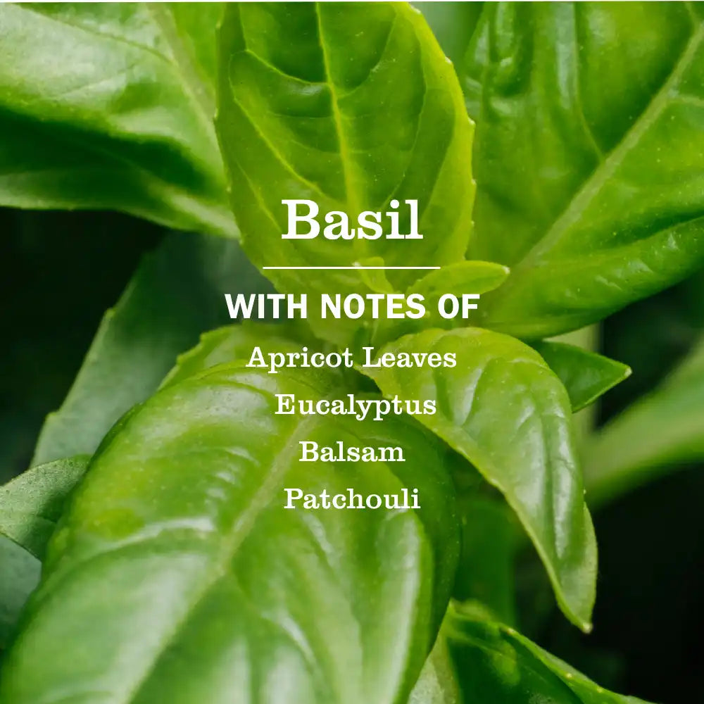 Basil Dish Soap
