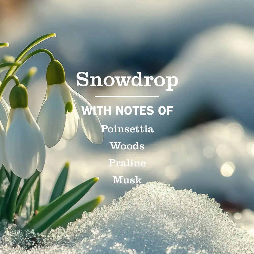 Snowdrop Kitchen Basics Set