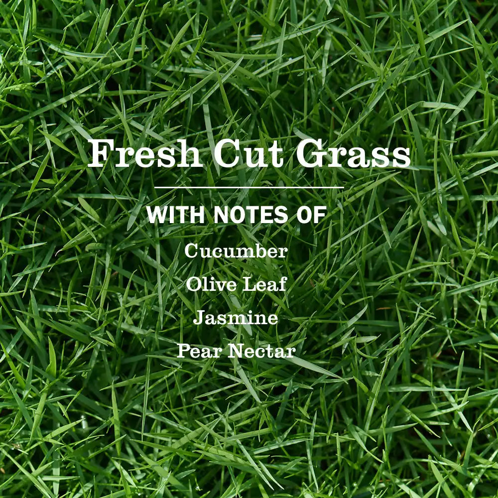 Fresh Cut Grass Multi-Surface Everyday Cleaner 3-count Bundle